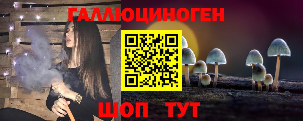 где найти   Вход с VPN  Волжск  Галлюциногенные грибы Psilocybe 